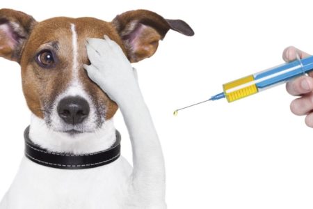 Vaccinations